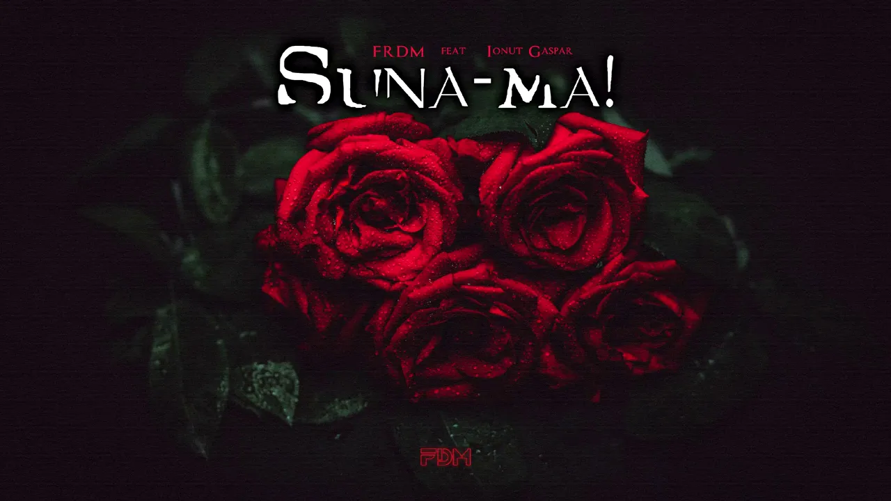 FRDM feat. Ionut Gaspar - Suna-ma! (Original Radio Edit)