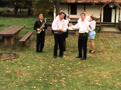 Ionica Ardeleanu & Puiu Codreanu- Domnule judecator