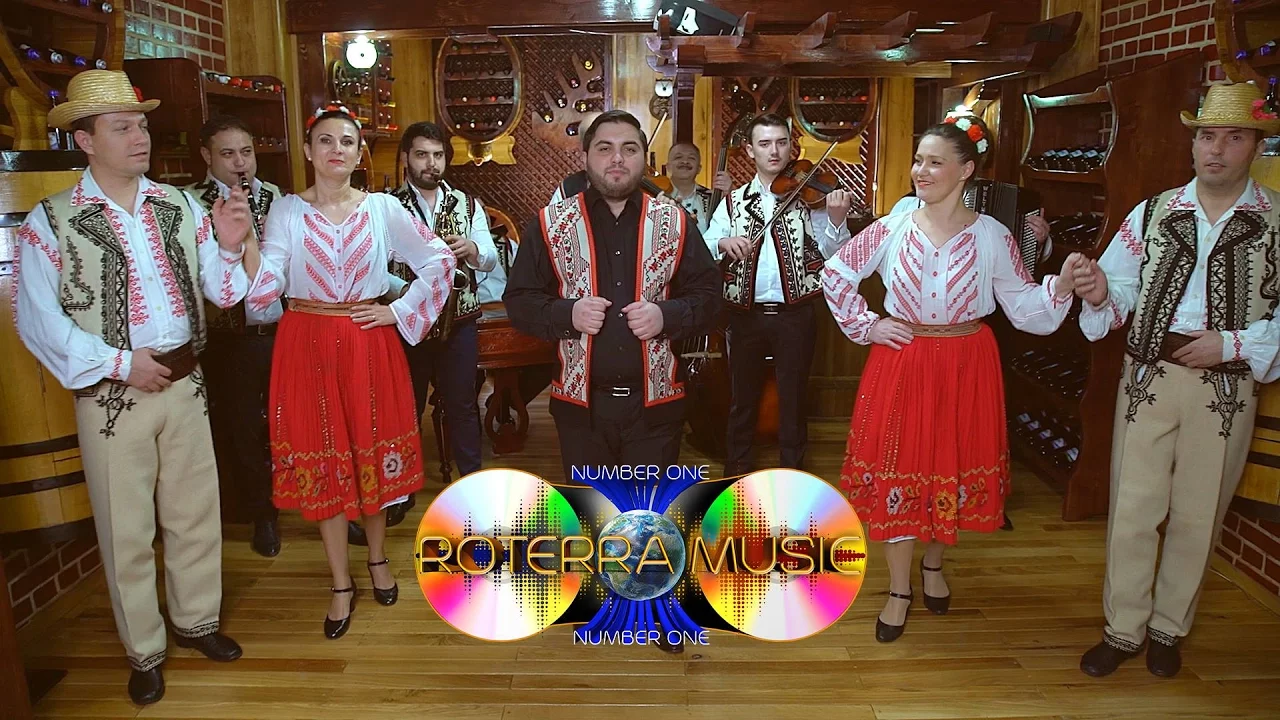 Danut Ardeleanu - Am dus si eu zile grele