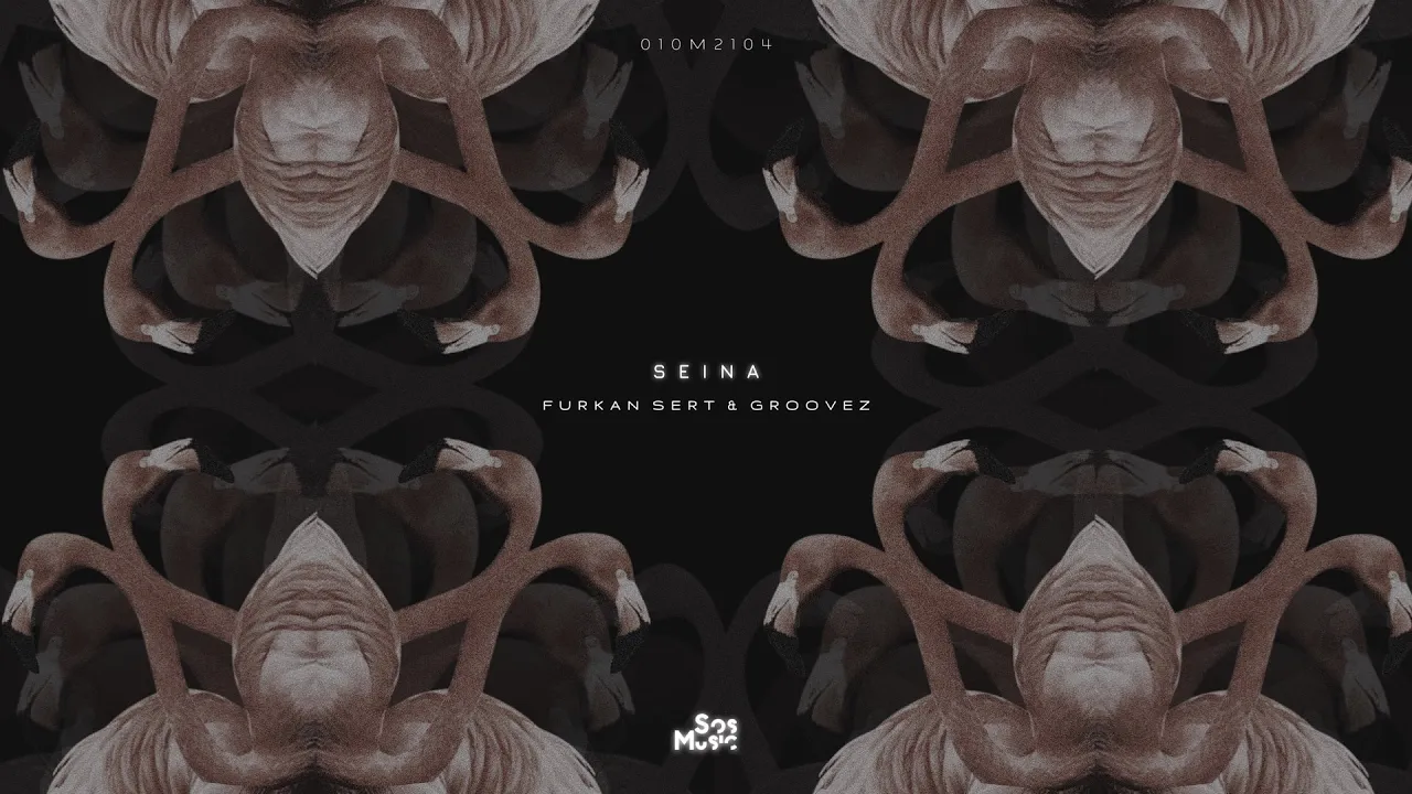 Furkan Sert & Groovez - Seina