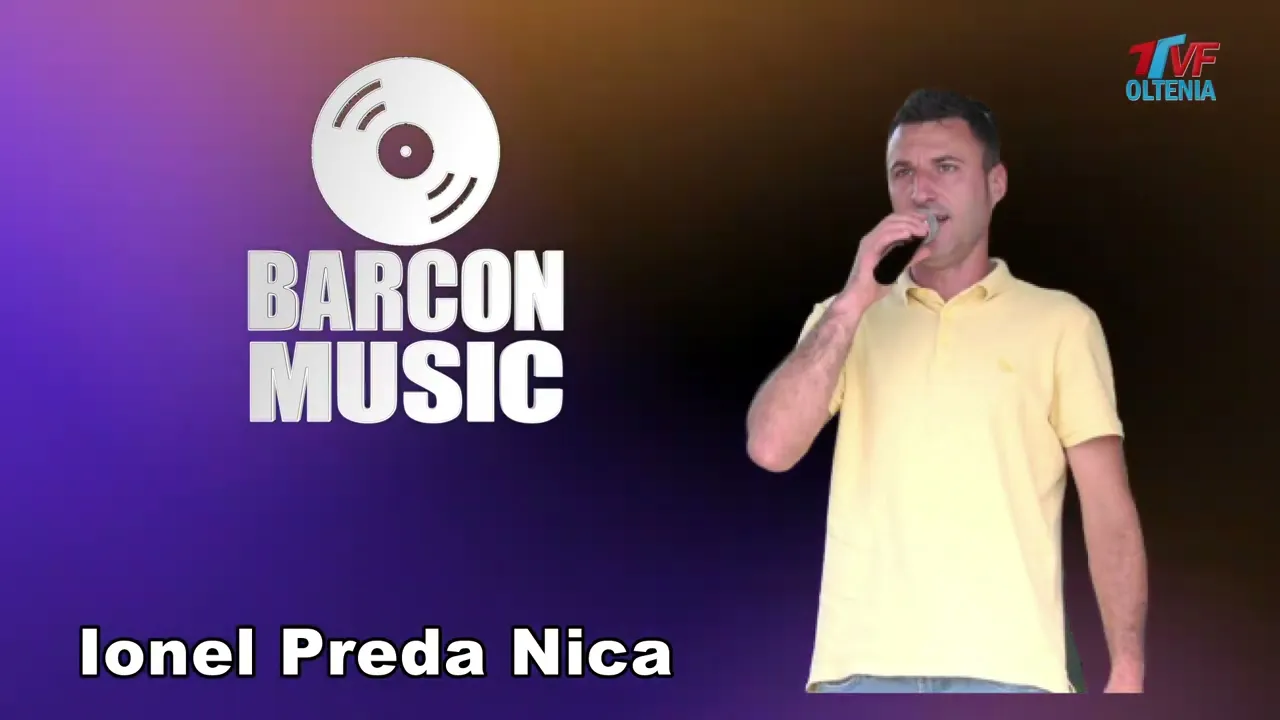 Colaj SARBE - Ionel Preda Nica
