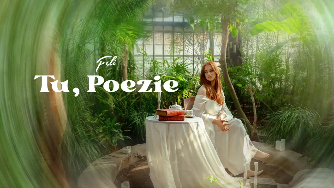 Feli - Tu, Poezie (Original Radio Edit)