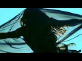 Catri - Pulsul meu (feat. Nysario)