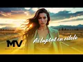 Manelele Viitorului - Ai luptat cu zilele