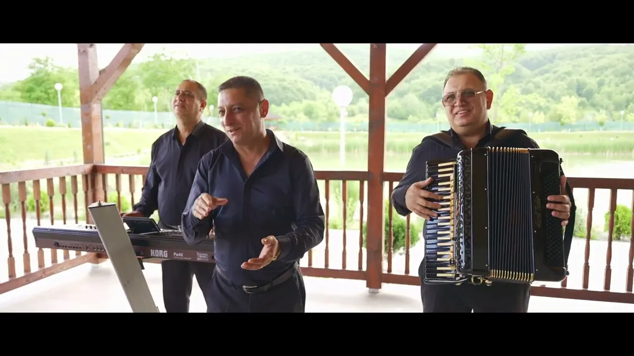 Ionut Bau - Copiii Mi-aduc Nepotii