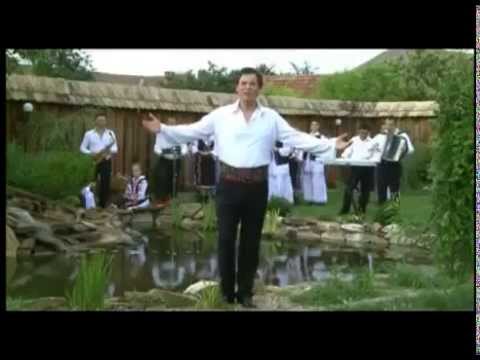 COLAJ PETRECERE - TINU VERESEZAN 2014