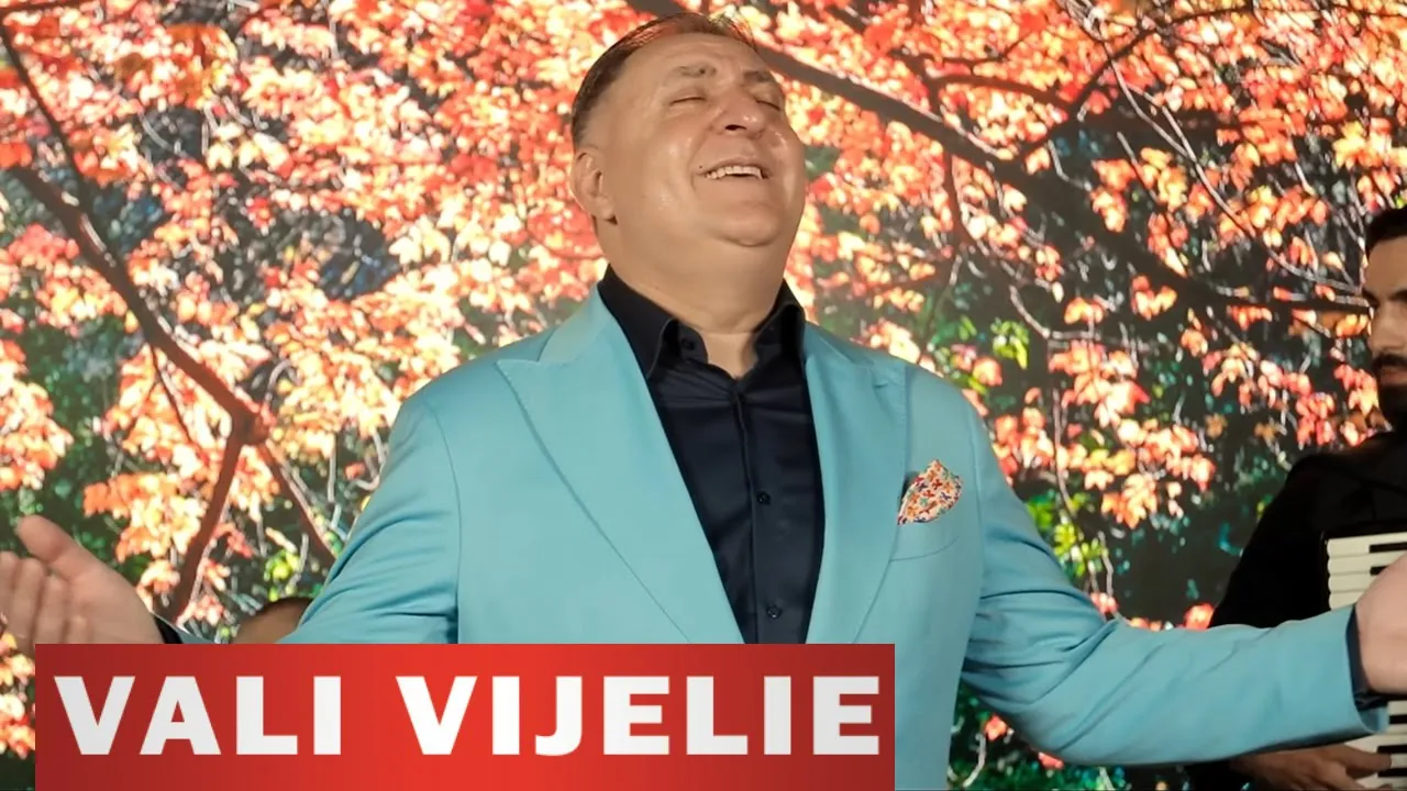 Vali Vijelie & Denis Ramniceanu - Toata viata calator