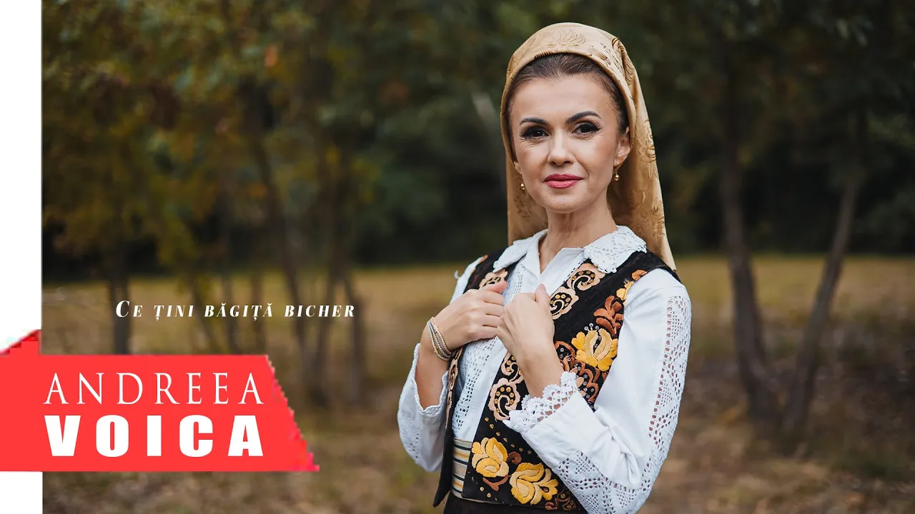 Andreea Voica - Ce tini bagita bicher