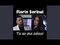 Florin Sorinel - Tu nu ma iubeai (Originala 2023)
