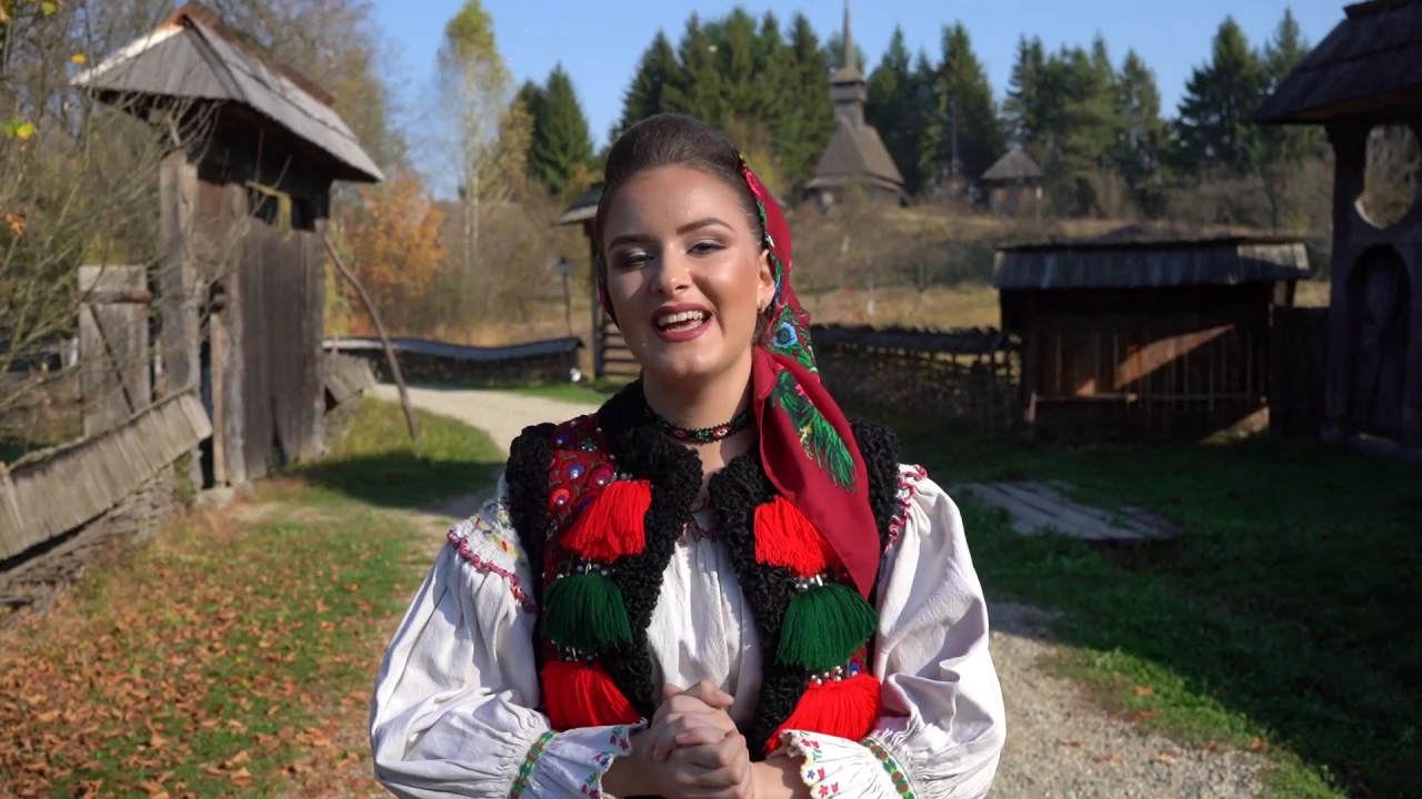 Diana Topan - Sta tata singur la masa