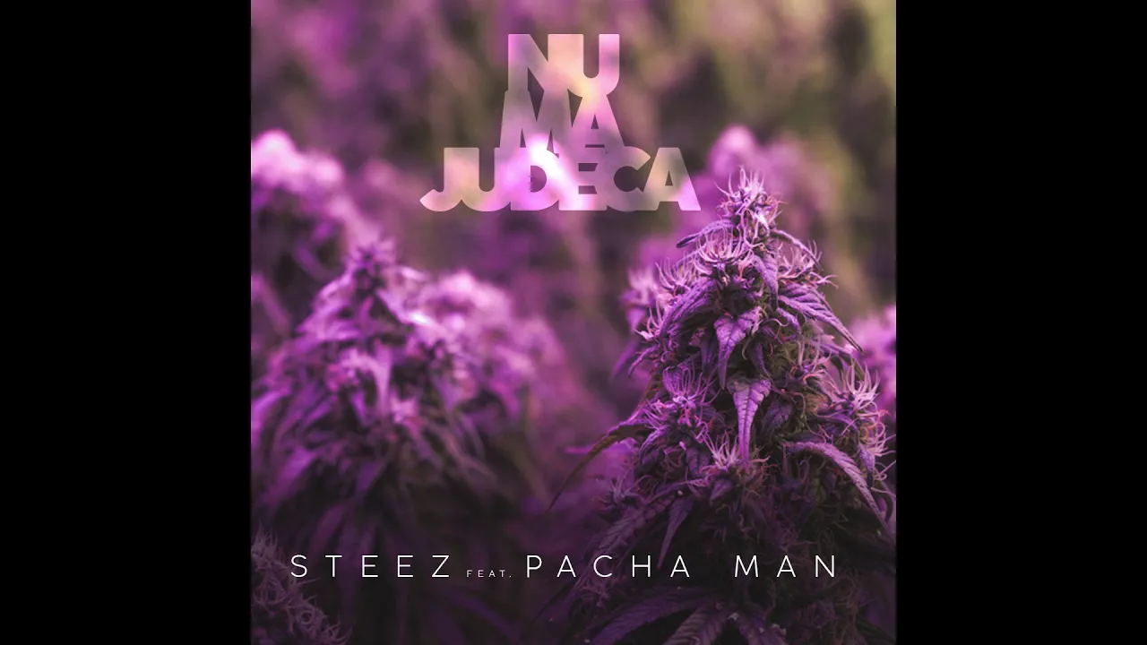 Steez Feat. Pacha Man - Nu ma judeca (Original Radio Edit)
