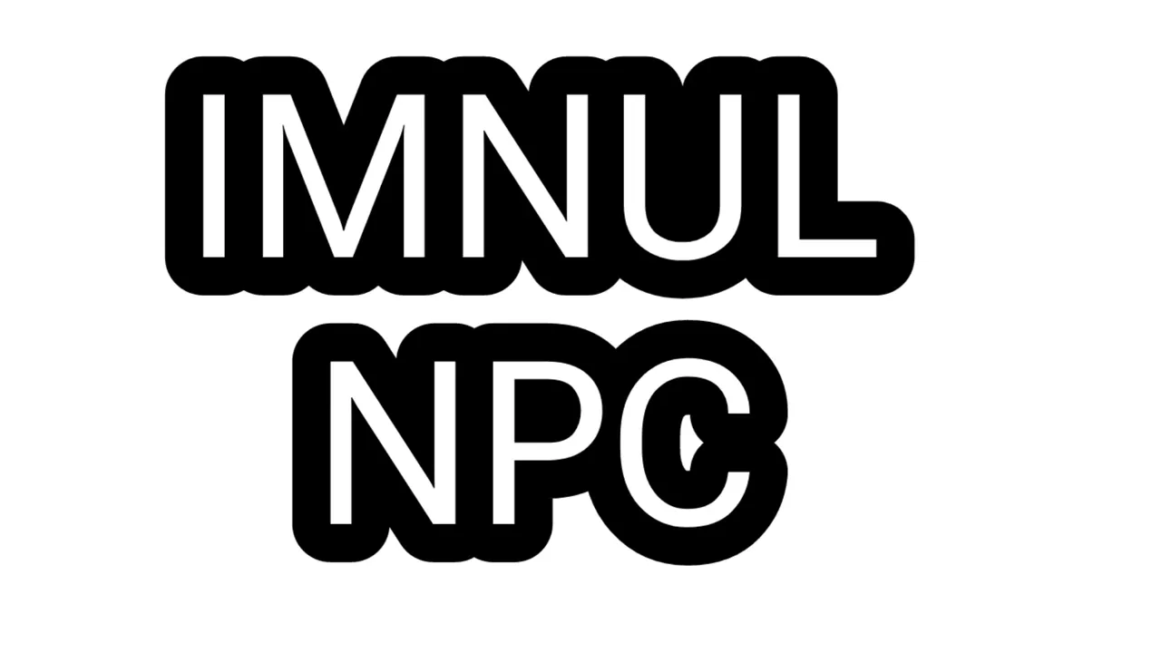 IMNUL NPC - 2023