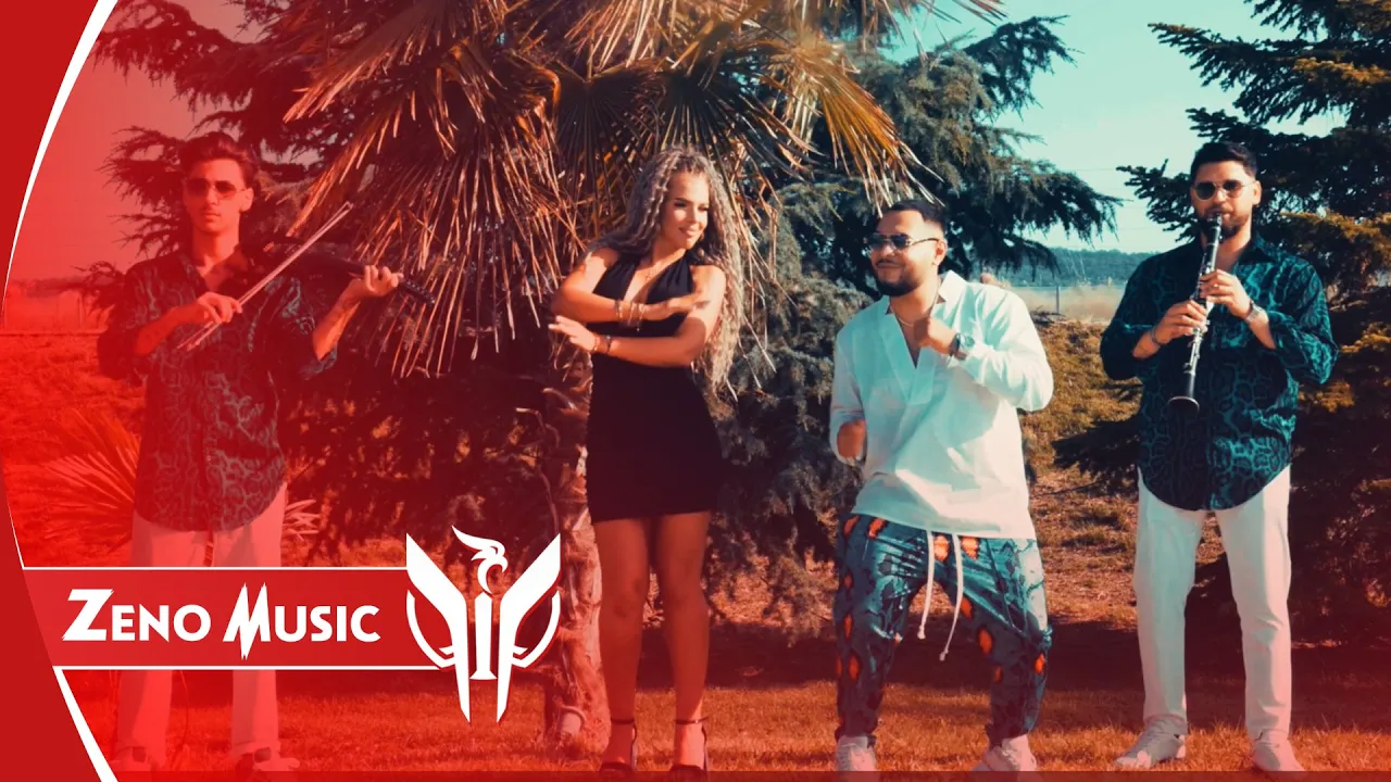 Robert de la Turnu x Zeno Music - Bruneta de Bucuresti