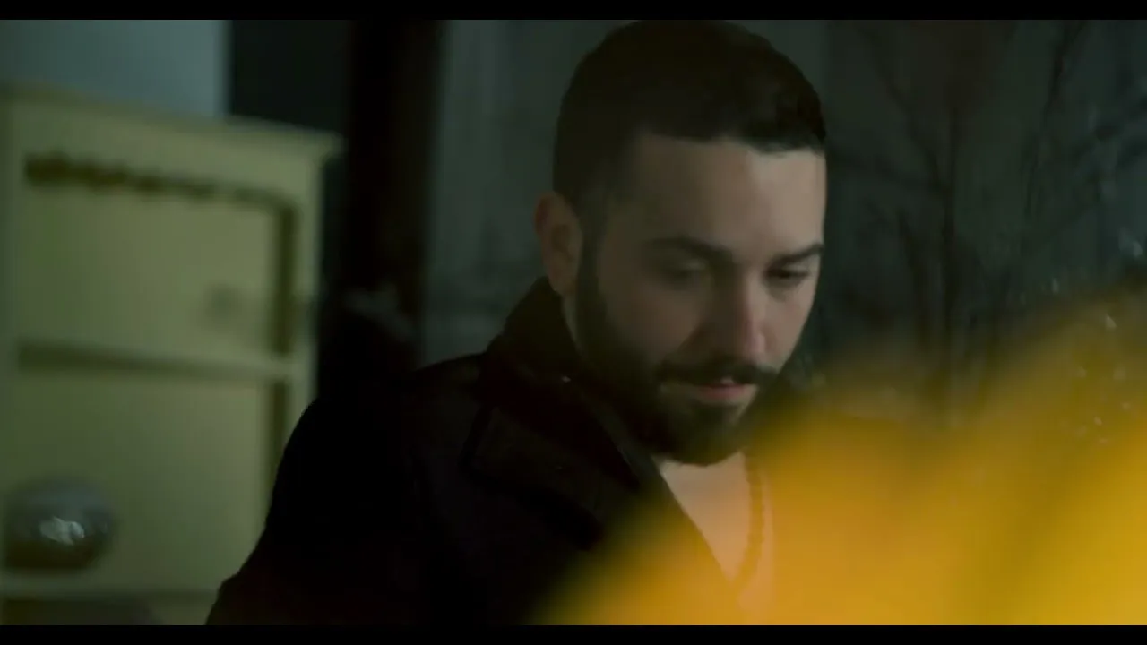 Dani Printul Banatului - Povestea lor