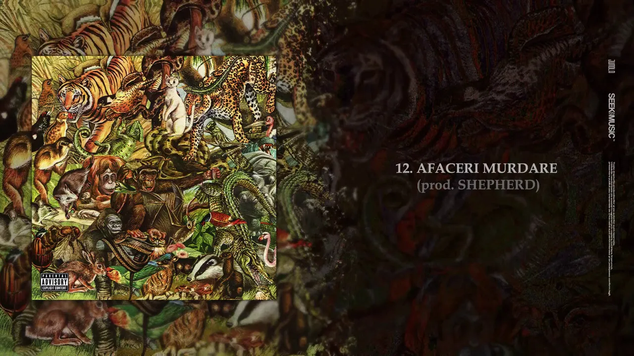 JUNGLA by Chimie & Domnul Udo - AFACERI MURDARE (Original Radio Edit)