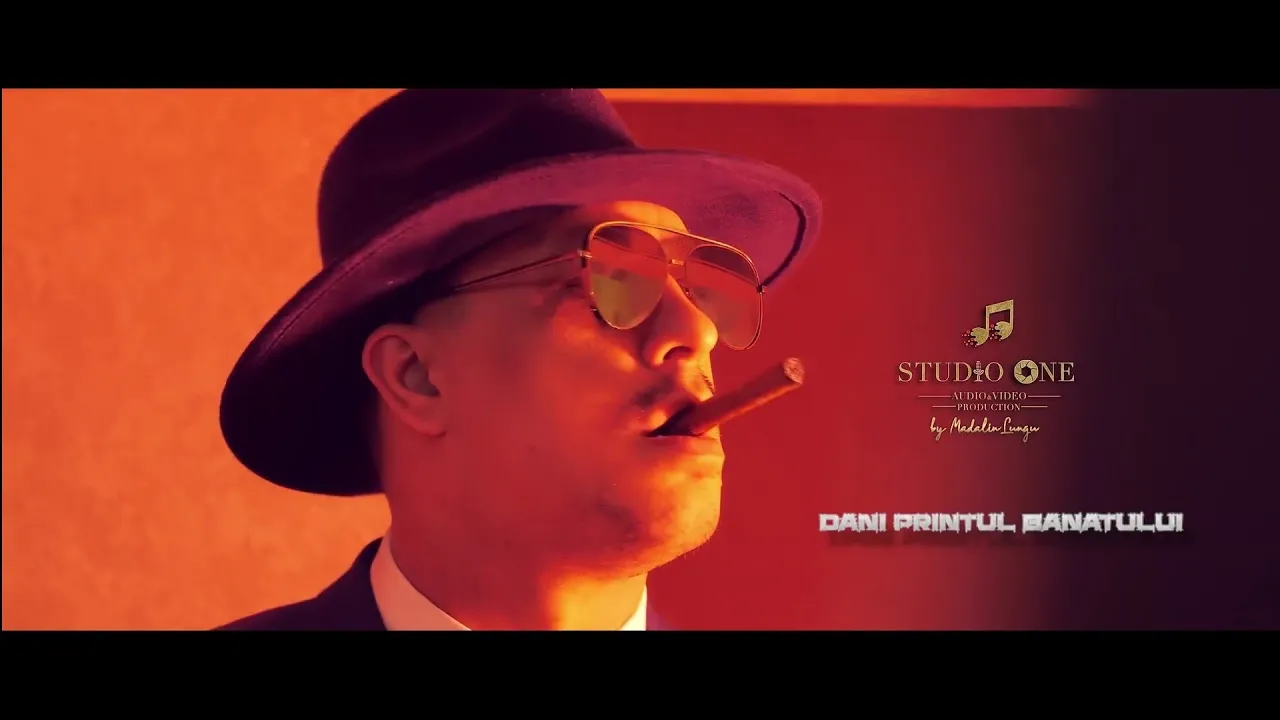 Dani Printul Banatului - Femei destepte (Originala 2020)