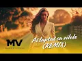 Manelele Viitorului - Ai luptat cu zilele (Remix)