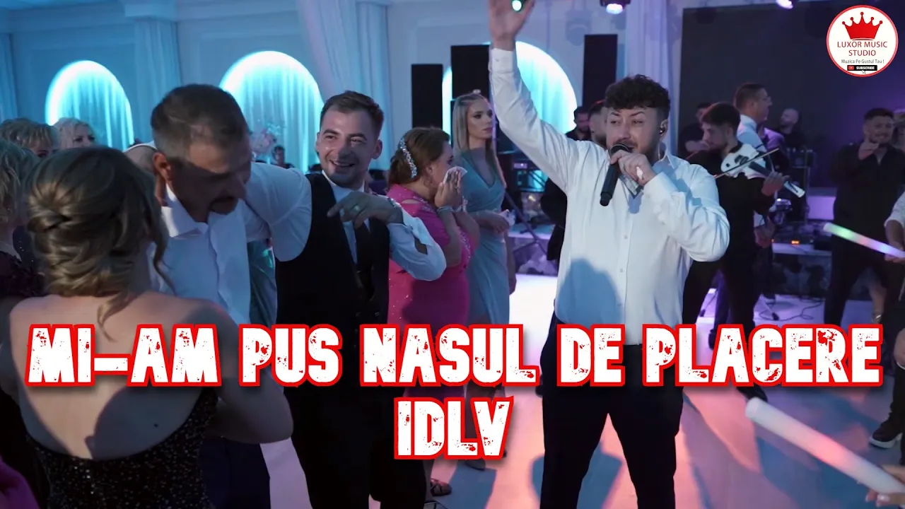 Iulian de la Vrancea - Mi-am pus nasul de placere (Live)