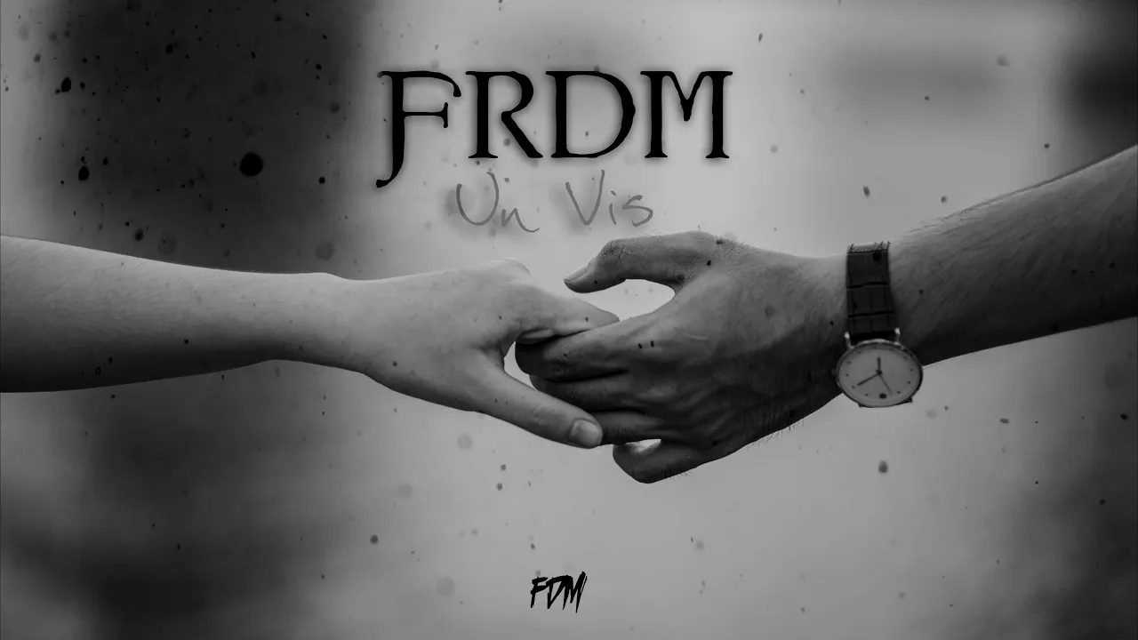 FRDM - Un vis (Cover in romana)