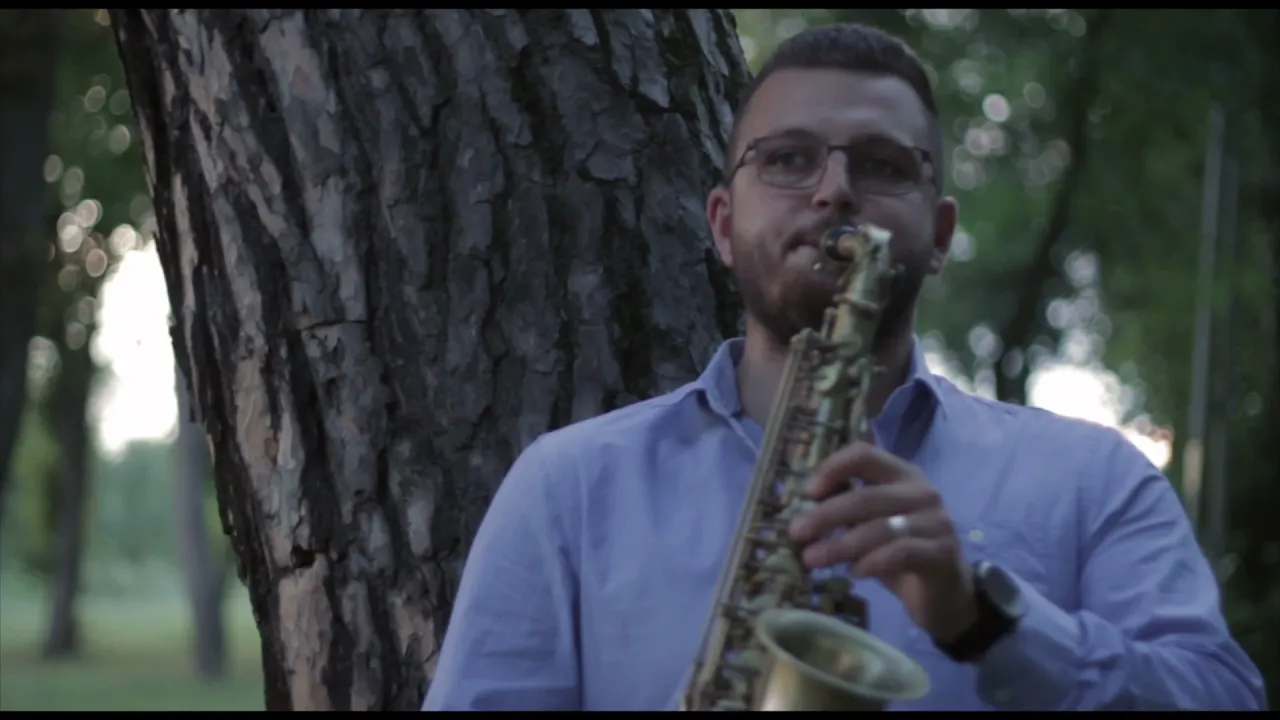 Catalin Arabu' - Ca bradul din varf de munte