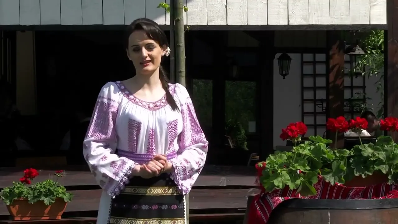 Andra Caprusu - Mirii-ndragostiti