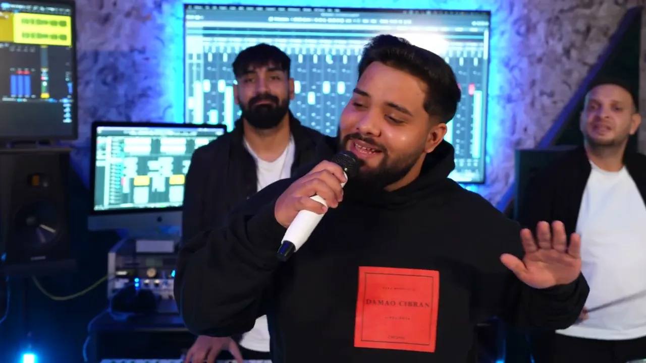 Narcis Dia - Mai bine te duci dracu (Cover inspired by Delia & Erika)