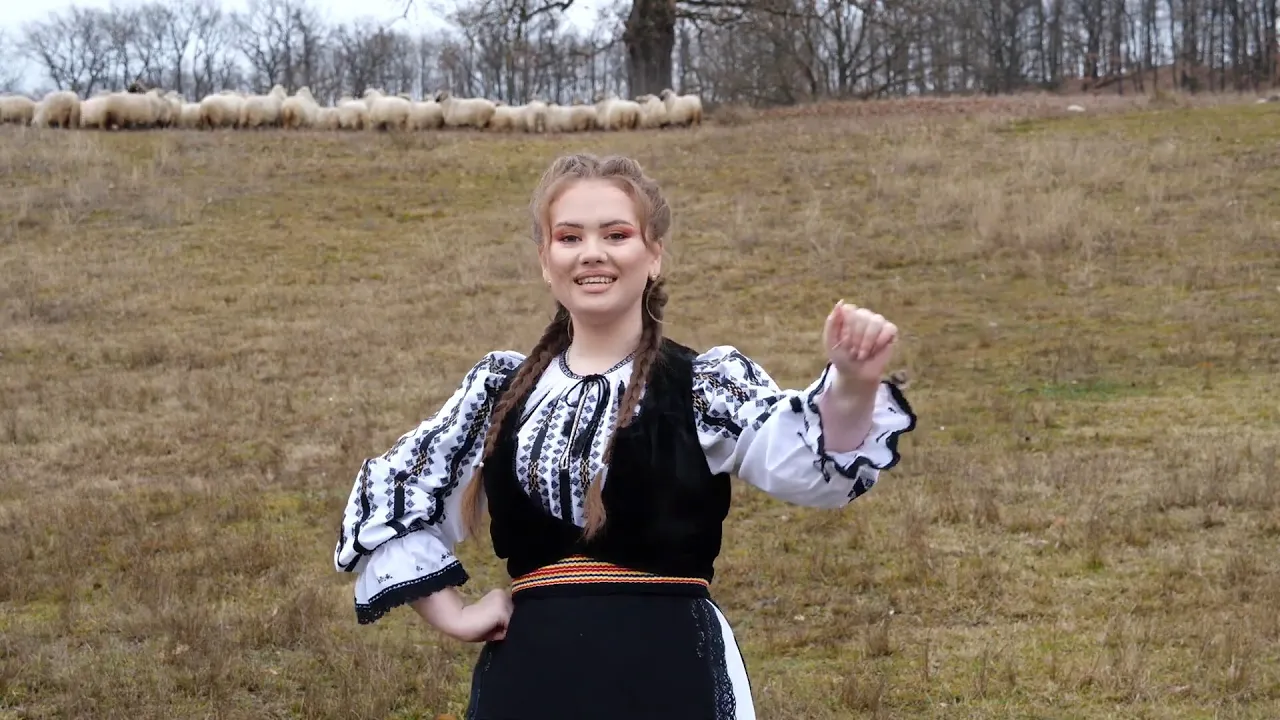 Cele mai frumoase invartite - Larisa Sandescu