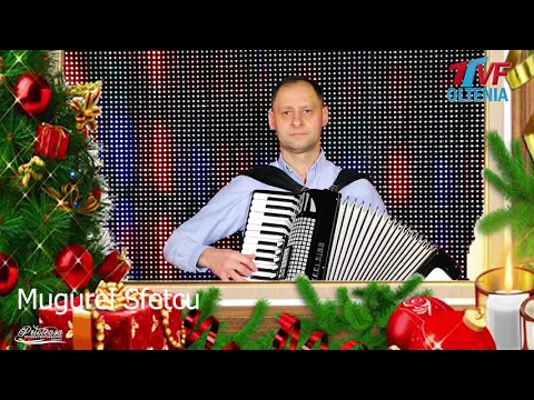 Mugurel Sfetcu - Instrumentala acordeon (Muzica de petrecere 2021)