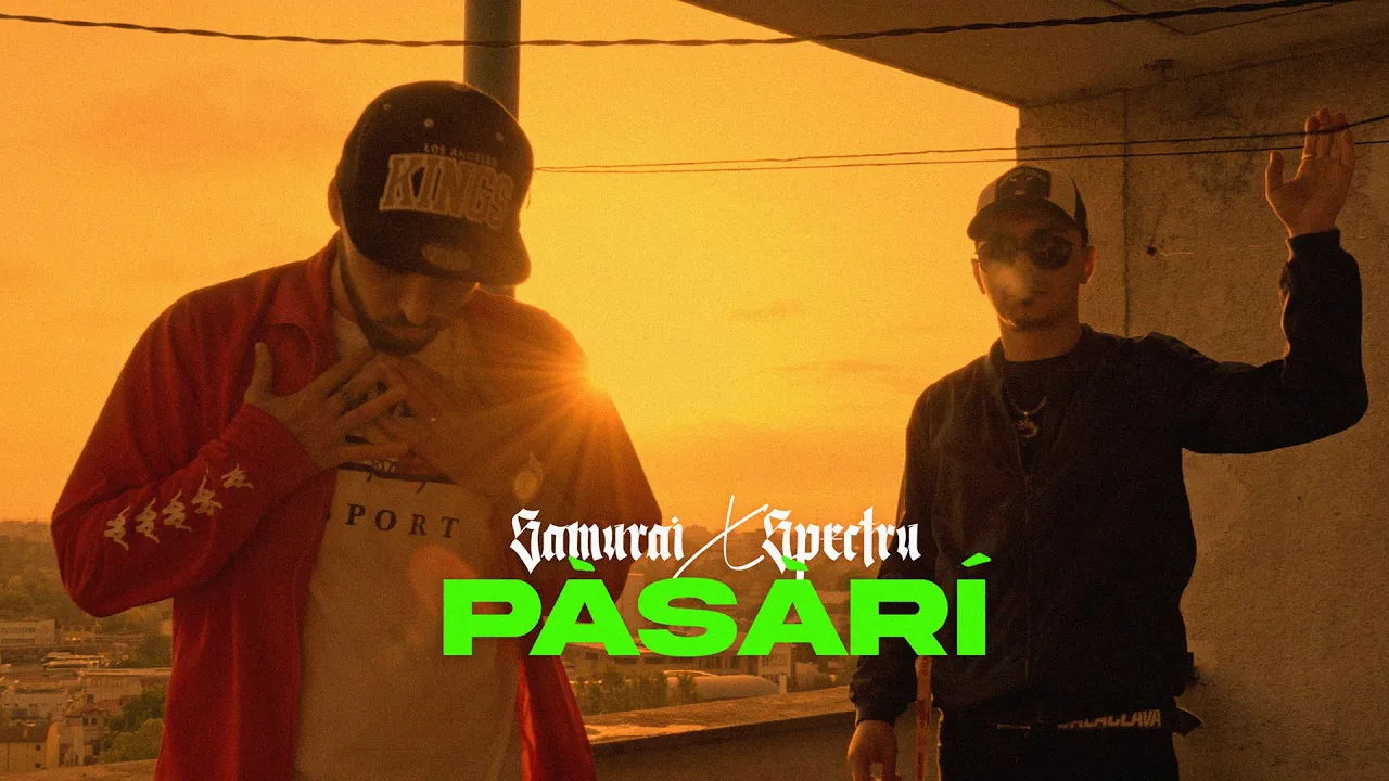 Samurai x Spectru - Pasari (Original Radio Edit)
