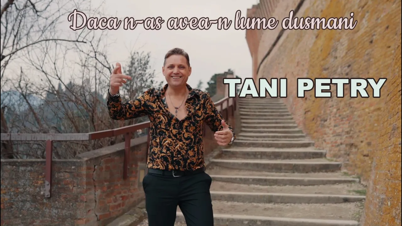 Tani Petry - Daca nu as avea in lume dusmani