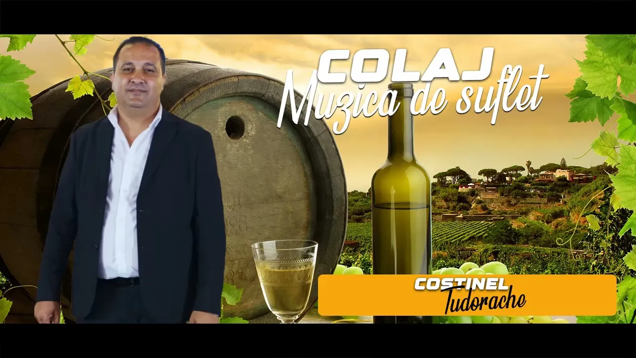 Cele Mai Frumoase Melodii de Petrecere 2024 COSTINEL TUDORACHE