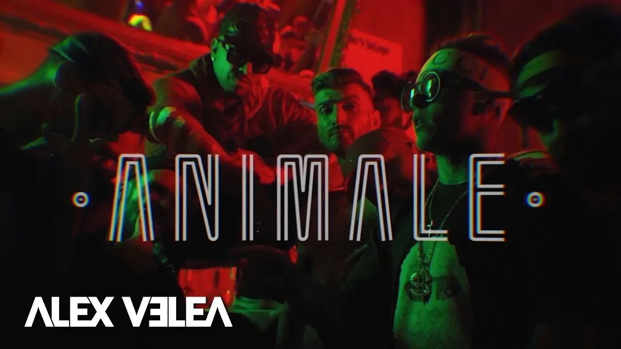 Alex Velea - Animale (Original Radio Edit)