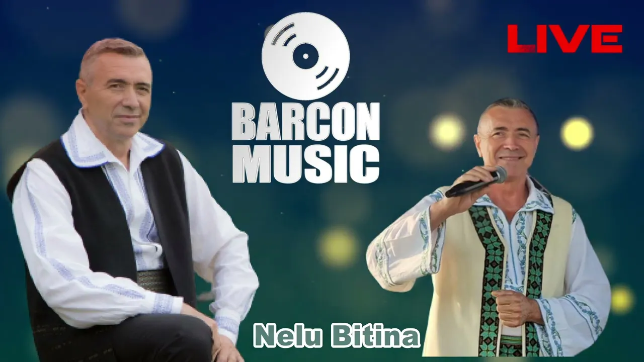 Hai cu Sarba - Nelu Bitina