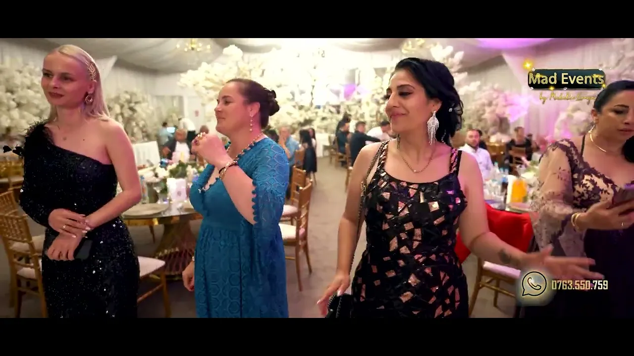 Alex Botea - Am atins cerul cu mana (Live 2022)