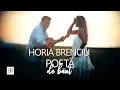 Horia Brenciu - Pofta De Baut (Original Radio Edit)