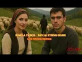 Ionela Pascu - Sus la stana oilor (LCO Music Remix)