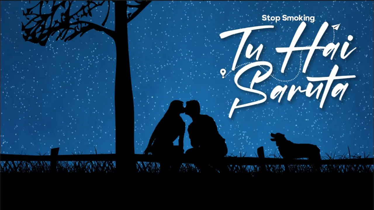 Stop Smoking x Gaz pe Foc - Tu hai saruta (Original Radio Edit)