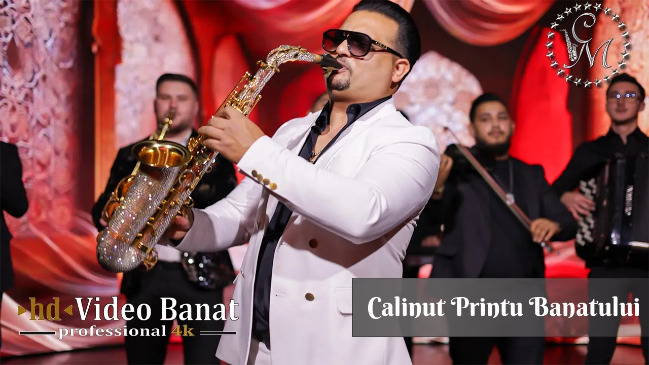 Calinut Printul Banatului - Colaj Instrumental 2025 (COVER)
