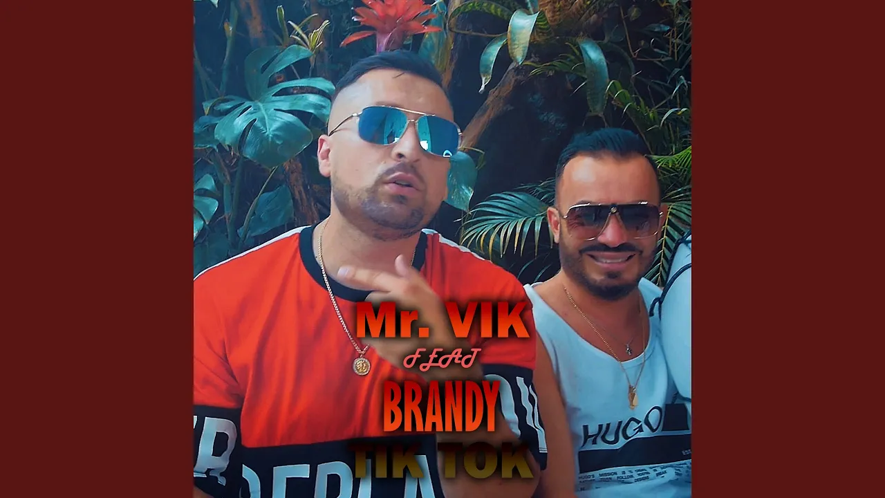 Mr. VIK x Brandy - Tik Tok (Originala 2021)