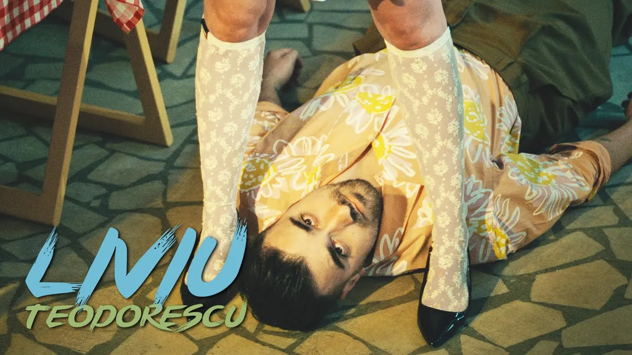 Liviu Teodorescu - Indiferenta