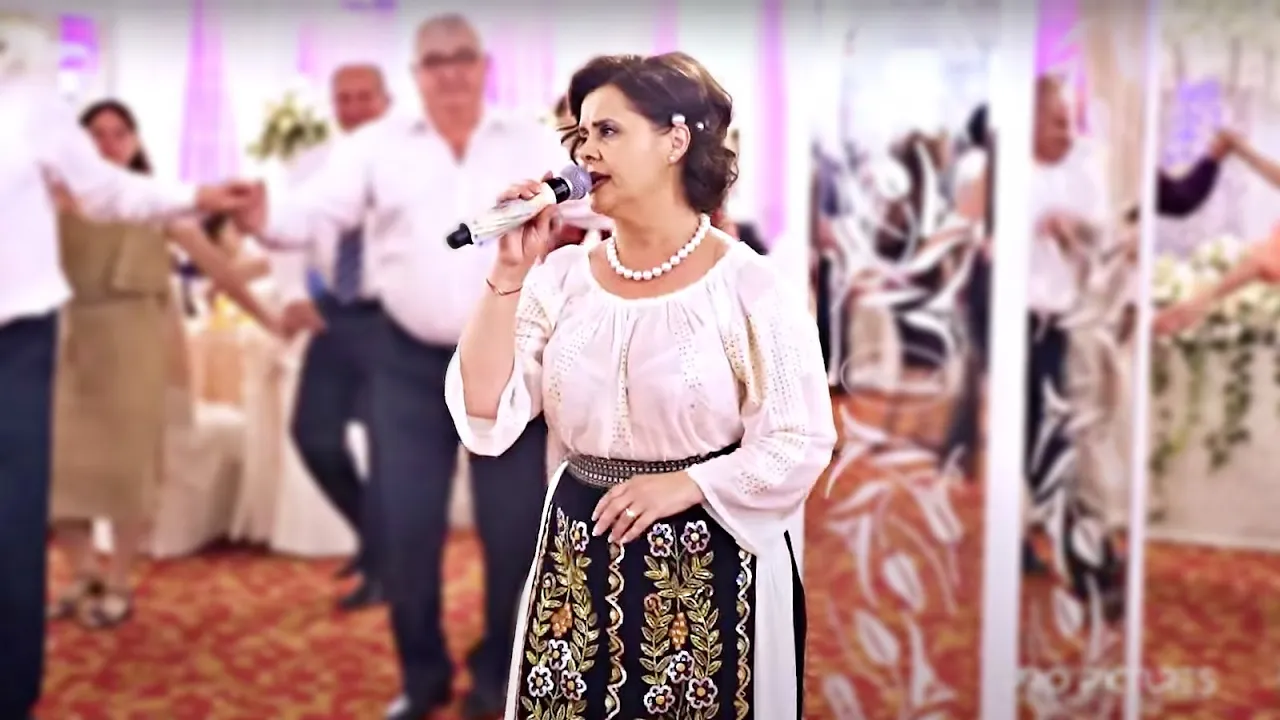 Niculina Stoican, super recital la nunta - Colaj de sarbe