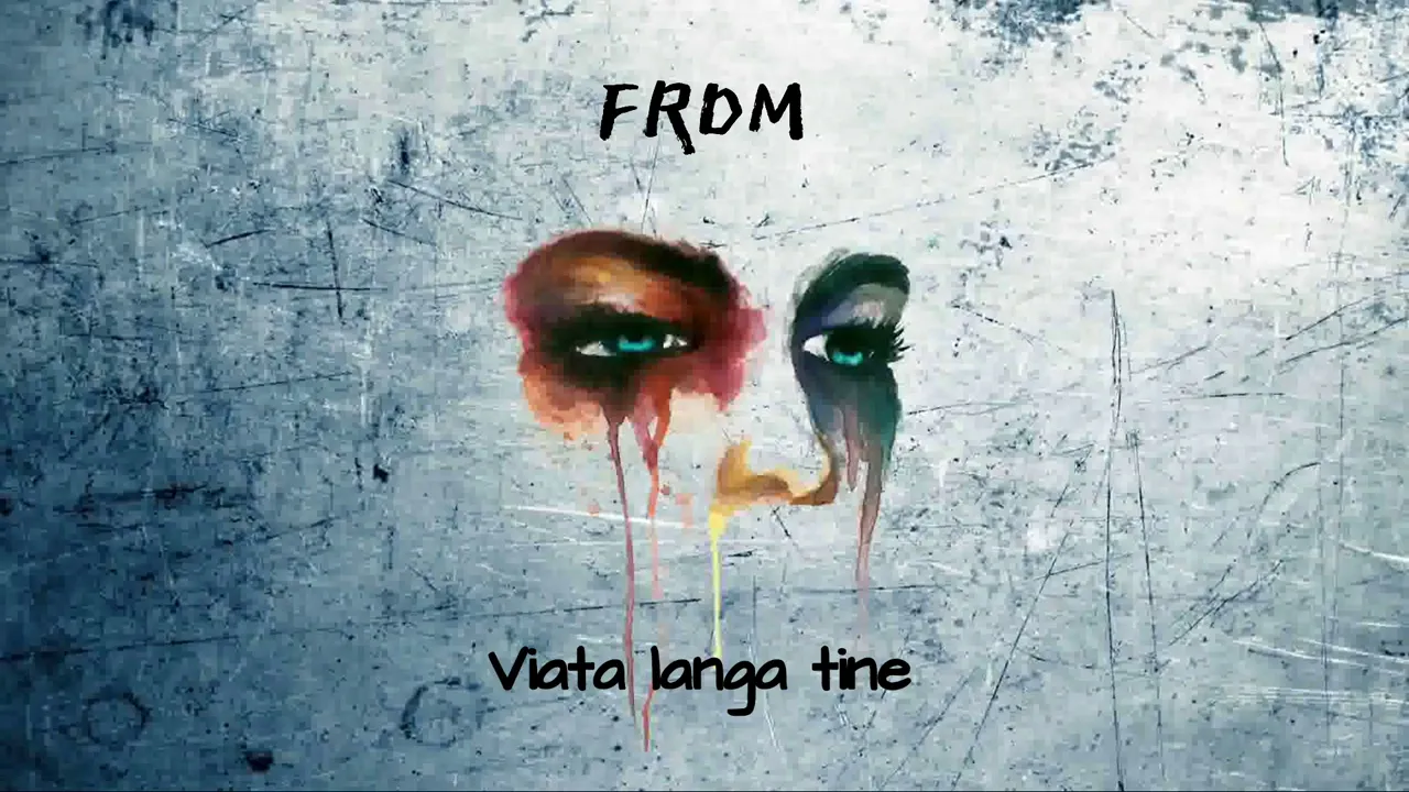 FRDM - Viata langa tine (Original Radio Edit)