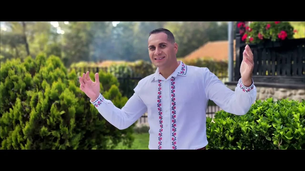 MIHAI PRIESCU - O ZI STAU SI PATRU BEAU