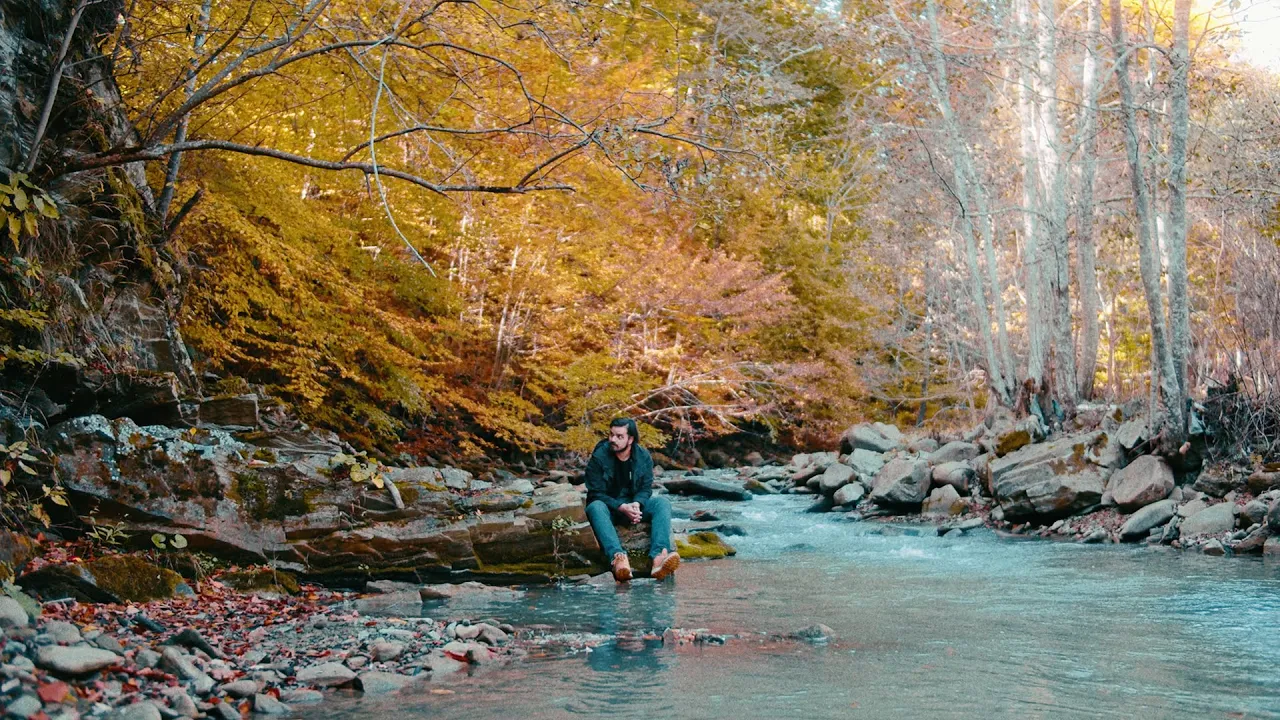 Vlad Flueraru - Amortit