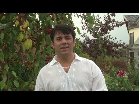 Ghita Munteanu - Un trifoi cu patru foi