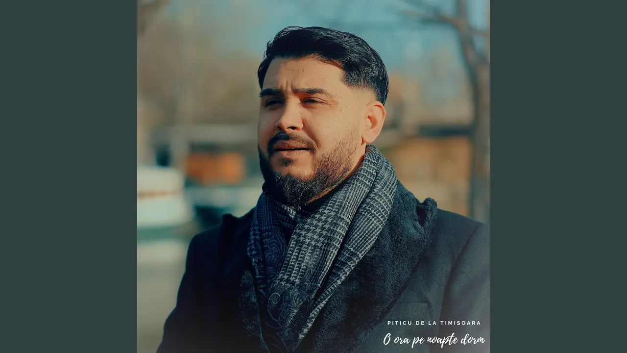 Piticu de la Timisoara - O ora pe noapte dorm