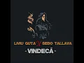 Liviu Guta si Sebo Tallava - Vindeca tu orice rana (Originala 2021)