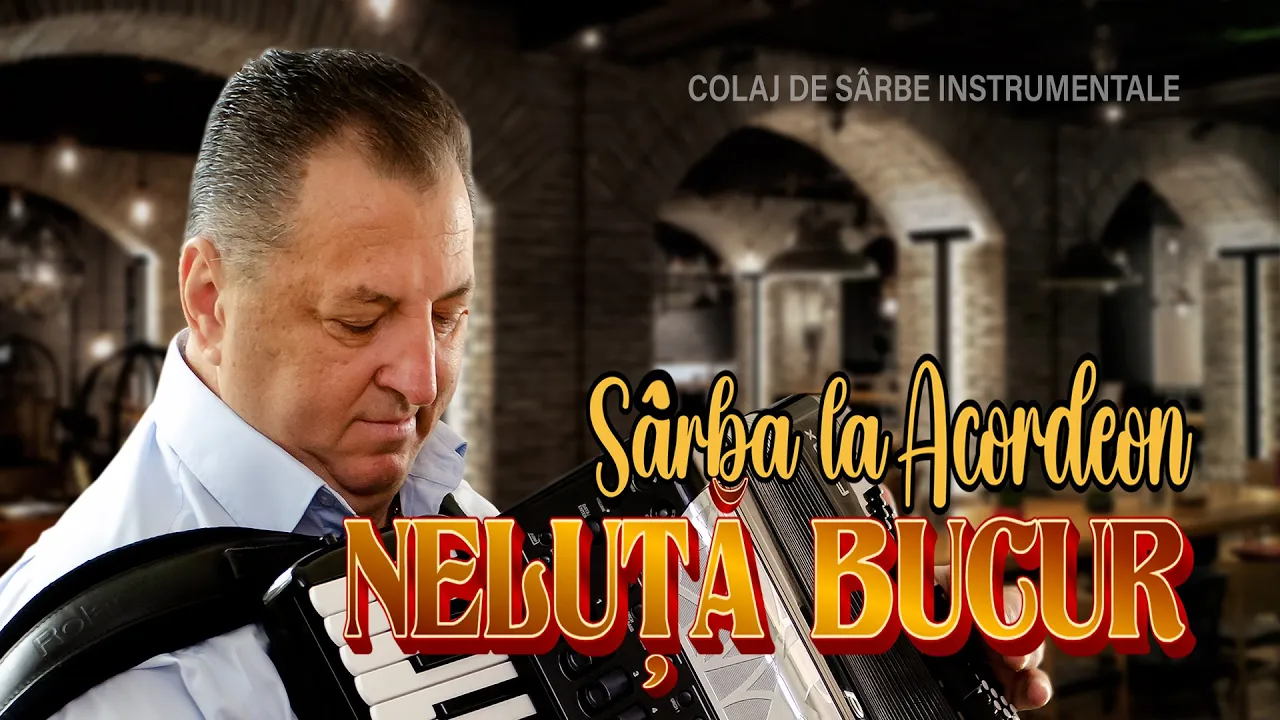NELUTA BUCUR - Sarba la acordeon