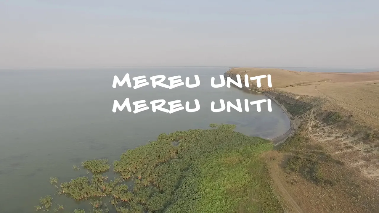 Voltaj - 100 de ani (Original Radio Edit)