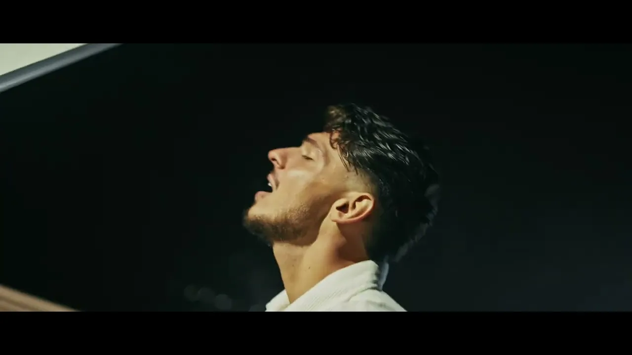 Antonio Pican - Capitol Incheiat